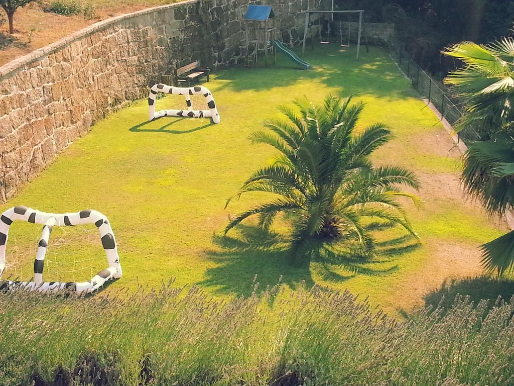 Quinta Das Tilias Douro Valley Cabaca エクステリア 写真
