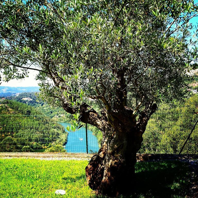 Quinta Das Tilias Douro Valley Cabaca エクステリア 写真