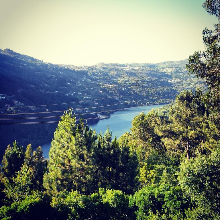 Quinta Das Tilias Douro Valley Cabaca エクステリア 写真